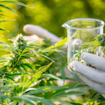 Hemp Testing Lab Texas